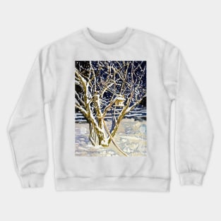 bird house small Crewneck Sweatshirt